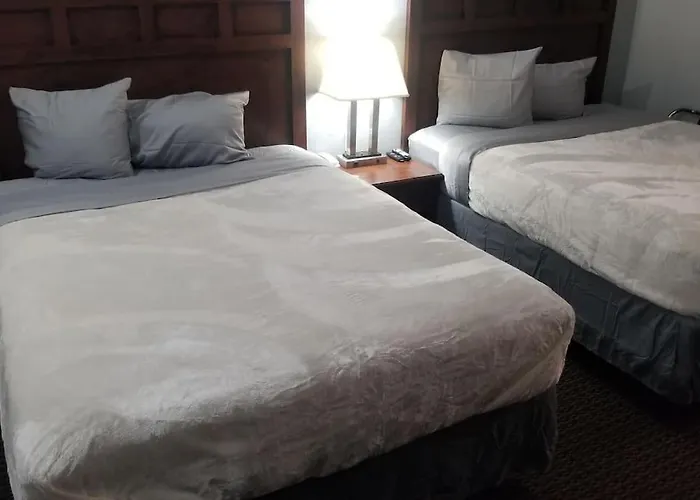Hotel 2 Queen Beds Hotel Room 220 Booking
